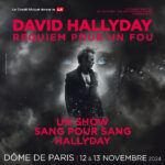 David Hallyday au Dôme de Paris